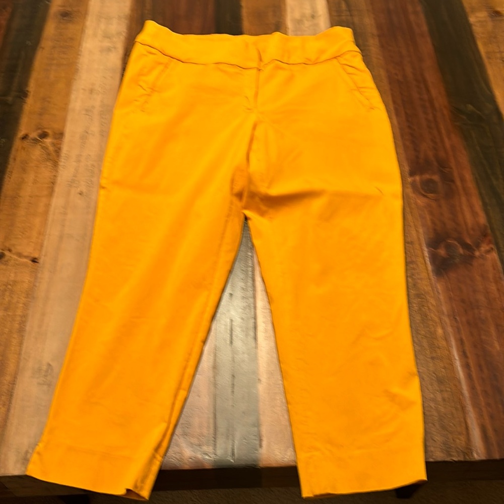 Yellow Lane Bryant Pants